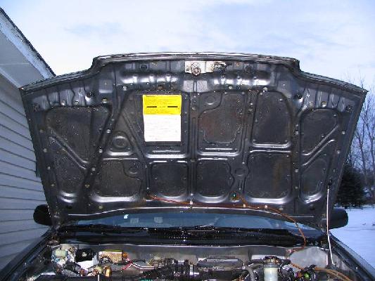 Misty's Civic 010.jpg